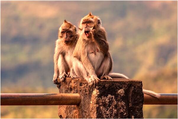 夢到父親讓我幫他賣金條預示什麼_周公解夢官網
