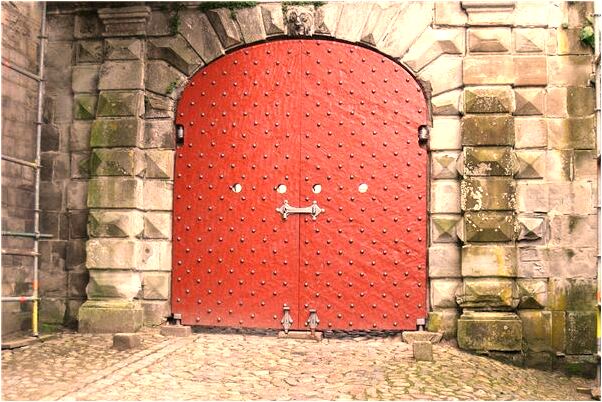 夢見與貓睡覺預兆了什麼嗎_周公解夢官網