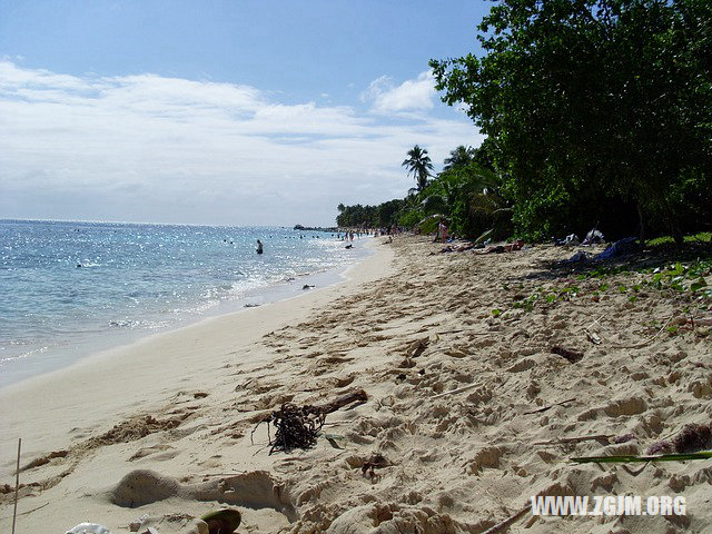 夢見趕車沒趕上_周公解夢夢到趕車沒趕上是什麼意思_做夢夢見趕車沒趕上好不好_周公解夢官網