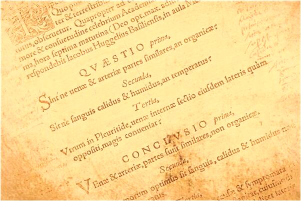 夢到我有了自己的車位預示什麼_周公解夢官網