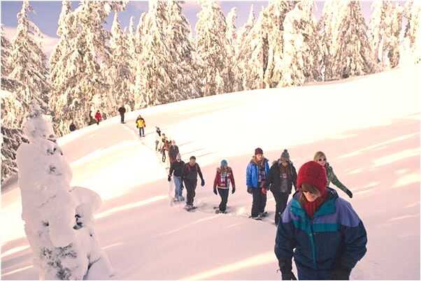 夢到了釘窗戶預兆了什麼嗎_周公解夢官網