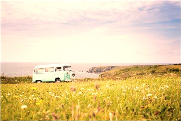 夢見死去的爺爺殺了幾隻騾子是啥預兆_周公解夢官網