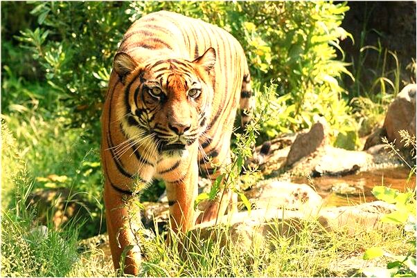 夢見自己上身裸著意味著什麼_周公解夢官網