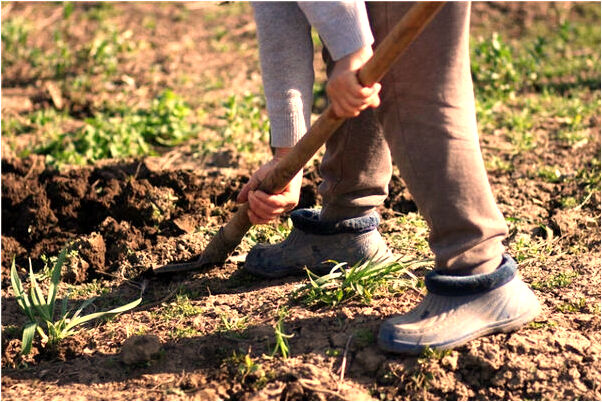 夢到自己穿著花裙子是什麼徵兆_周公解夢官網