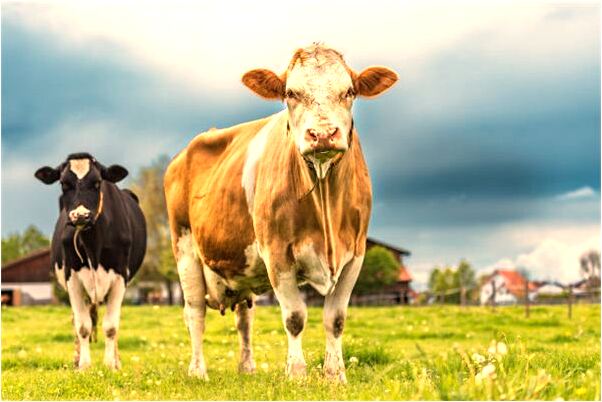 夢到了女人脫衣服洗澡是什麼兆頭_周公解夢官網