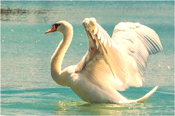 夢到老婆頭上流血是什麼預兆？_周公解夢官網