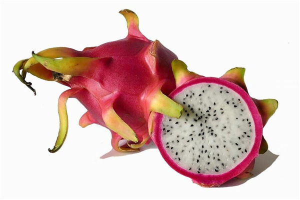 夢見火龍果是什麼意思_周公解夢