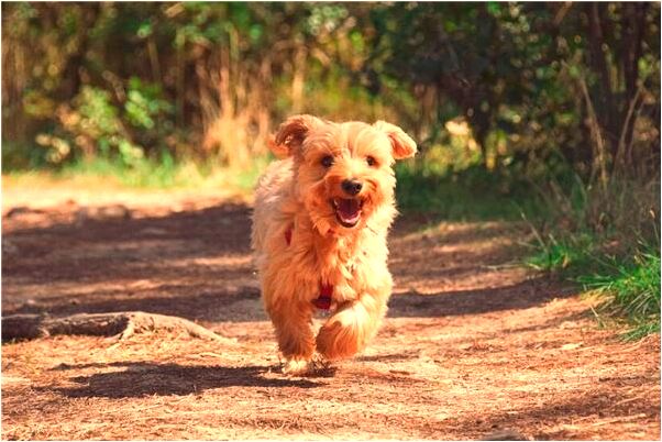 夢到了畢業了的人畢業了代表什麼_周公解夢官網