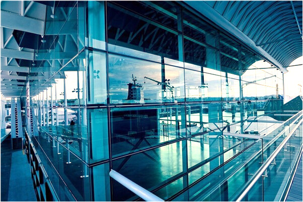 夢見蛇進家門有何寓意_周公解夢官網