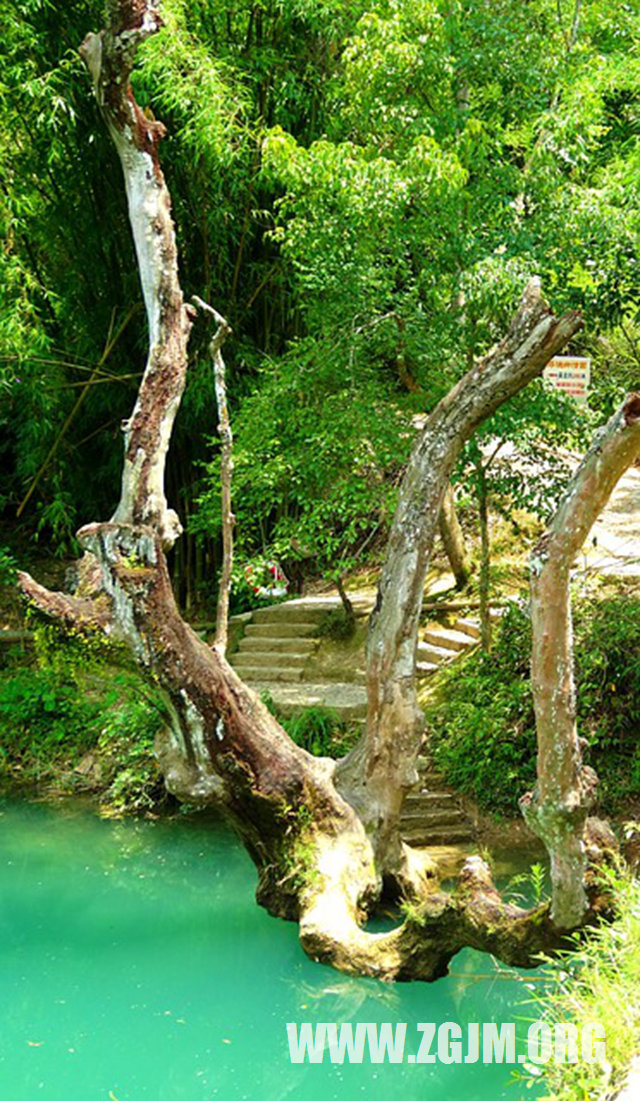 夢見朋友墜崖死亡_周公解夢夢到朋友墜崖死亡是什麼意思_做夢夢見朋友墜崖死亡好不好_周公解夢官網