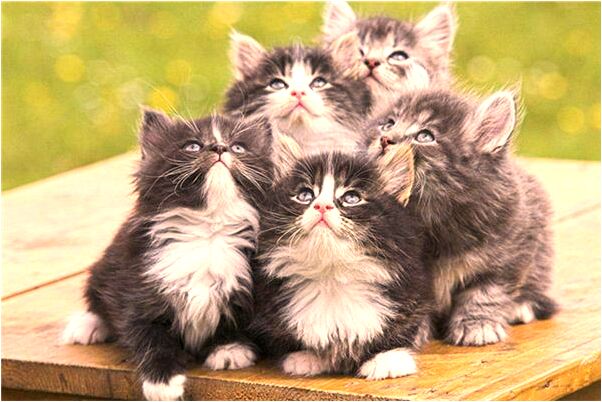 夢到兒時的好友不理睬自己啥意思_周公解夢官網