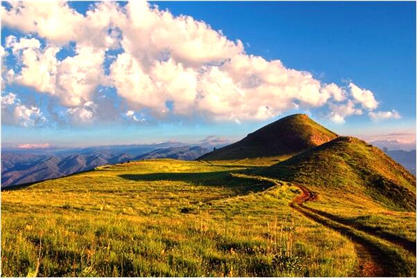 夢到媽媽戳我的背好不好_周公解夢官網