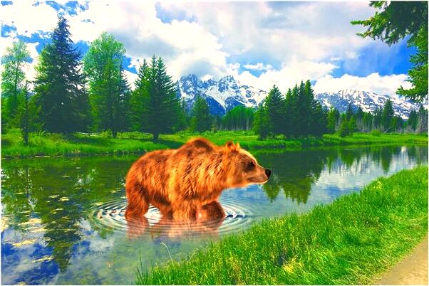 夢見大量海豚跳躍是啥意思_周公解夢官網