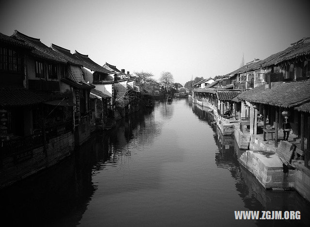 夢見很多豬_周公解夢夢到很多豬是什麼意思_做夢夢見很多豬好不好_周公解夢官網