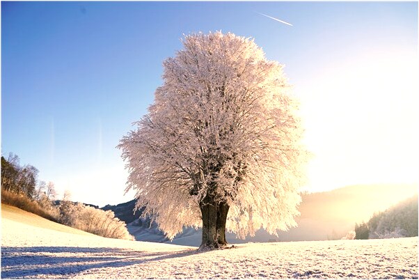 夢見爸爸長黑頭髮黑鬍子會怎么樣_周公解夢官網