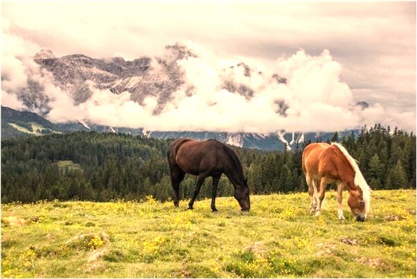 夢見跟已經去世的人嘮嗑是凶兆還是吉兆_周公解夢官網
