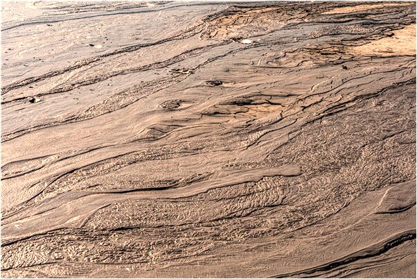 夢到自己喝醉了軟軟的什麼預兆_周公解夢官網