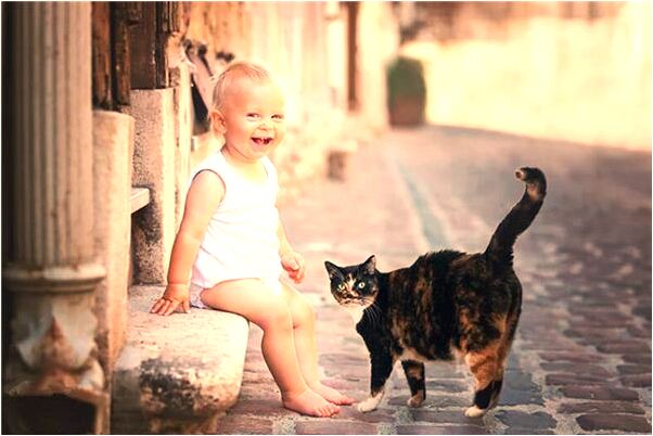 夢見男人吃大便是什麼預兆_周公解夢官網