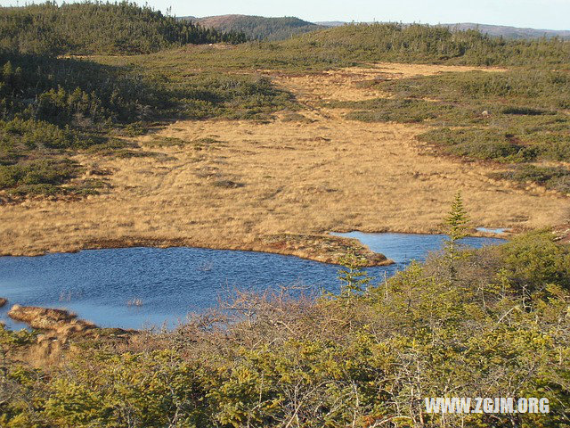 夢見已婚女人來月經血_周公解夢夢到已婚女人來月經血是什麼意思_做夢夢見已婚女人來月經血好不好_周公解夢官網