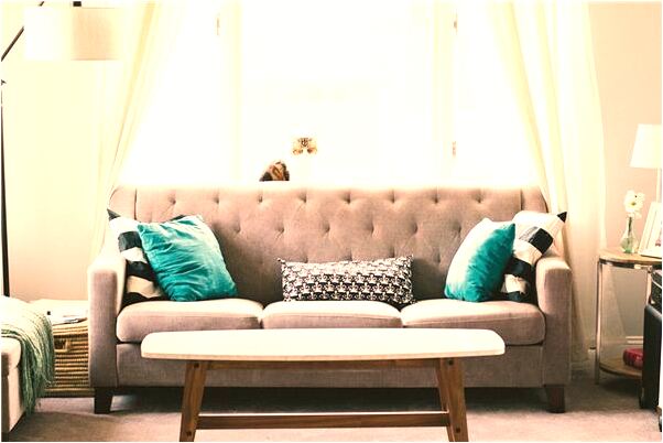 夢見被魚妖捉住又逃走了是什麼徵兆_周公解夢官網