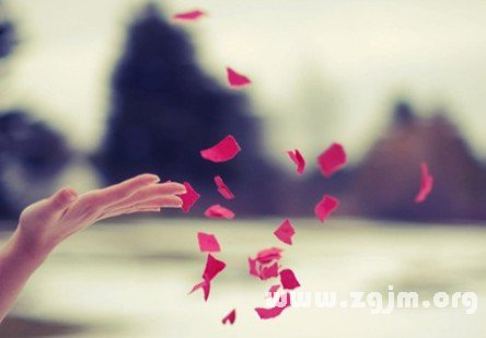 預示你有桃花運的夢境_周公解夢