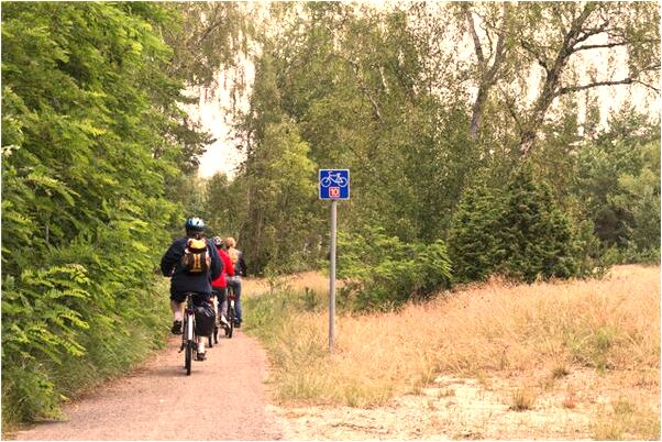 夢到兩條蟒蛇纏繞預示什麼_周公解夢官網