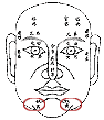 Physiognomy analysis: 13, 12 life palace figure _ to visit fortune-teller accomplishment