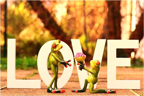 夢見抱著電腦是不是好的徵兆呢_周公解夢官網