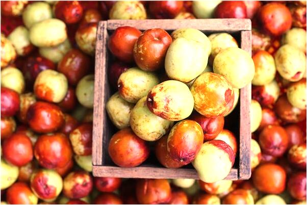 夢到小男孩一直跟著我什麼寓意_周公解夢官網