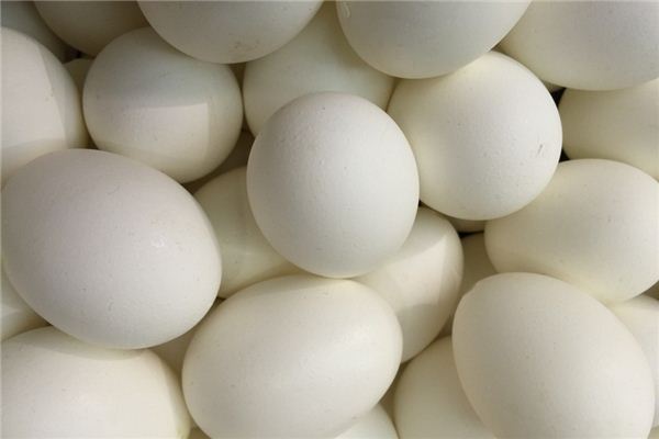 夢見鵝蛋是什麼意思_周公解夢