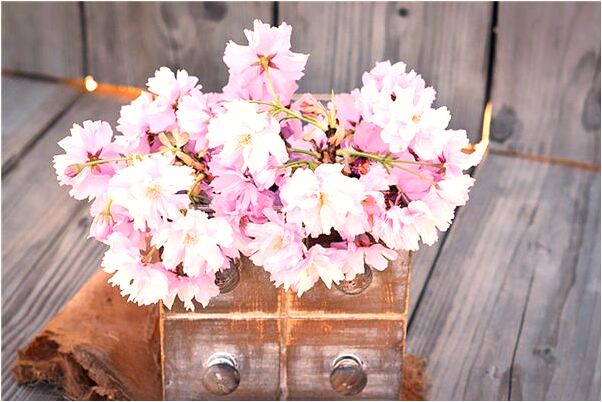 夢見月經開了弄到褲子上代表著什麼_周公解夢官網