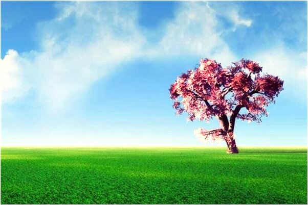 夢到搬動大石塊預示了什麼_周公解夢官網