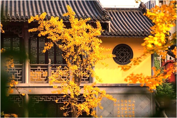 夢到與情人生氣爭吵代表什麼_周公解夢官網