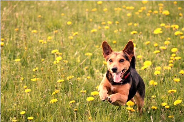 夢見自己的衣服被河水沖走會怎么樣_周公解夢官網
