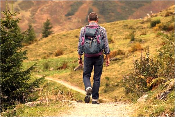 夢到了家裡好多魚和排骨有什麼預示嗎_周公解夢官網