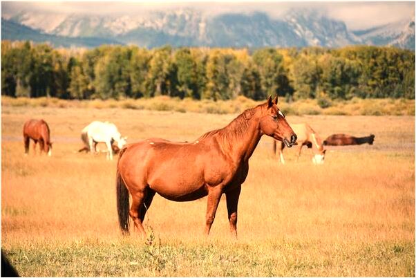 夢見小女孩還叫出我名字來有什麼寓意嗎_周公解夢官網