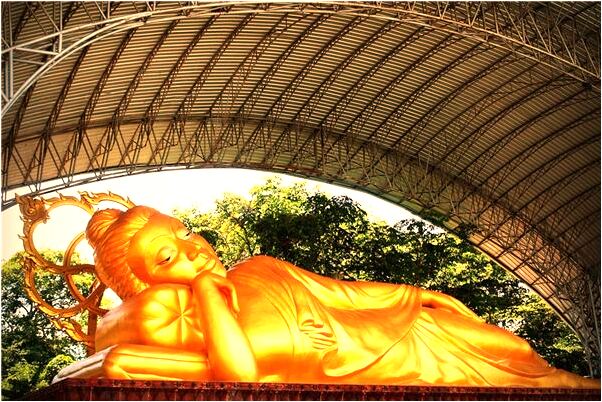 夢到樹上開白色和黑的花意味著什麼_周公解夢官網