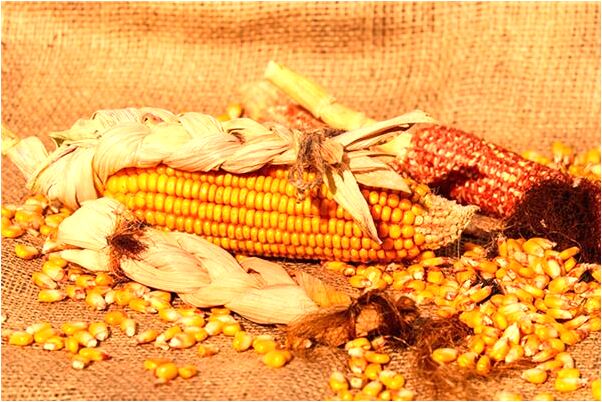 夢到掉到水裡又上岸會怎么樣_周公解夢官網