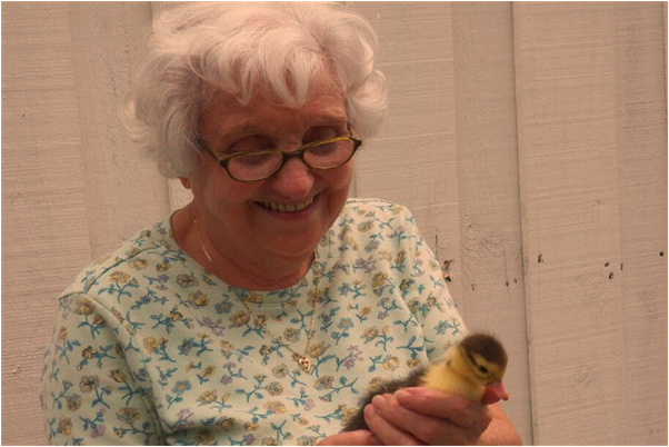 夢見流落街頭是咋回事_周公解夢官網