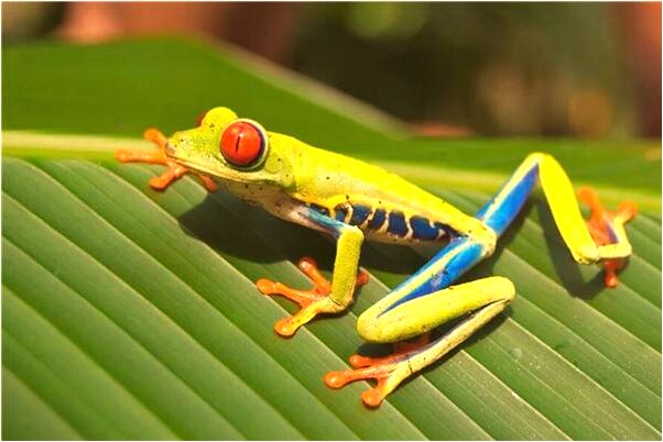 夢見被女鬼追殺有什麼意思嗎_周公解夢官網