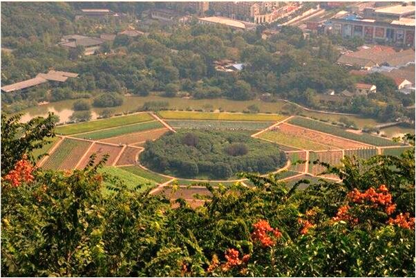 夢到了別人打殺有什麼意義嗎_周公解夢官網