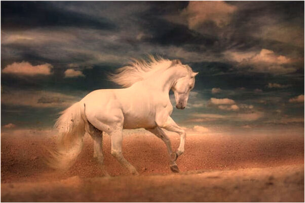 夢見已故的父親看不見我是吉兆嗎?_周公解夢官網