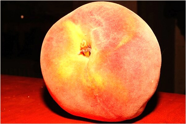 夢到老人抱小孩走路很快是什麼啟示_周公解夢官網