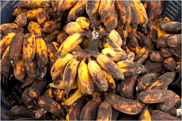 夢見小孩鋸木頭怎么樣_周公解夢官網