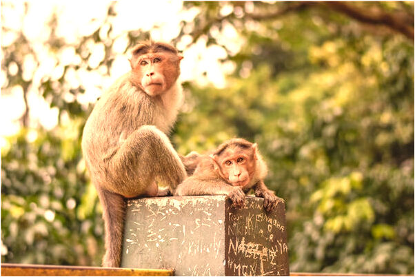 夢見和異性去海邊預示什麼_周公解夢官網