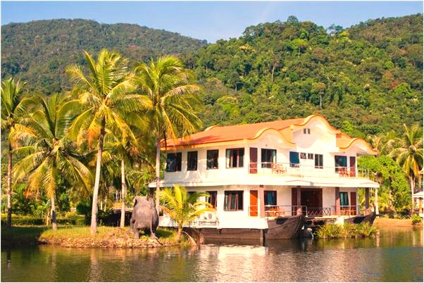 夢見會說話的鱷魚代表著什麼_周公解夢官網