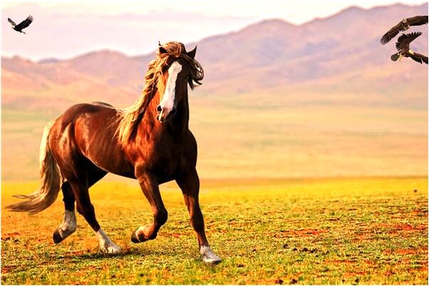 夢到了修路好不代表什麼_周公解夢官網