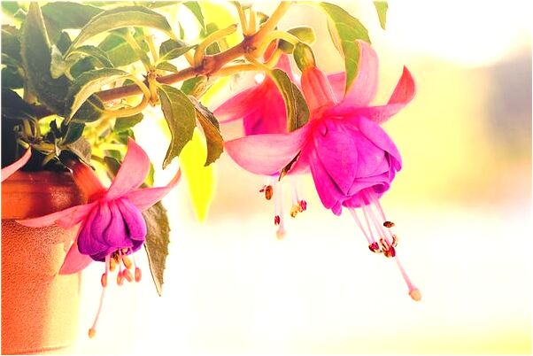 夢到頭上有閃電是什麼啟示_周公解夢官網