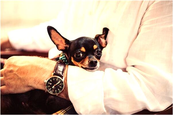 夢見和隔壁鄰居女孩做愛啥意思_周公解夢官網