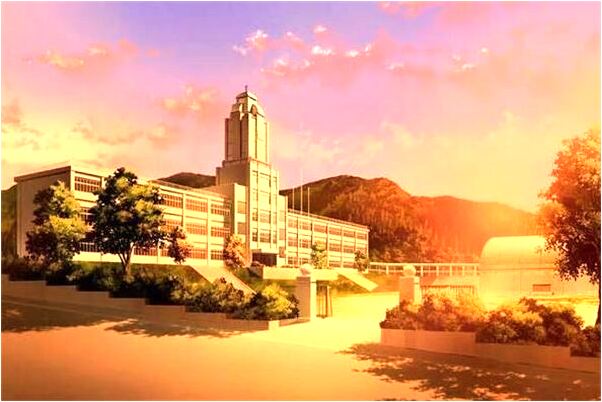 夢到了黑色的鳥看著我預示著什麼_周公解夢官網